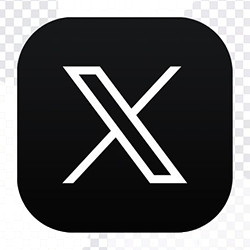 x logo